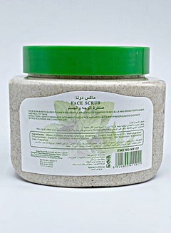 ماكسدونا مقشر للوجه بالصبار والنعناع 500جرام  - Image 2