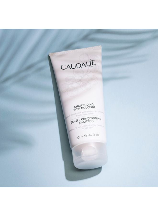 كودالي شامبو لتكثيف الشعر بعناية - Image 2