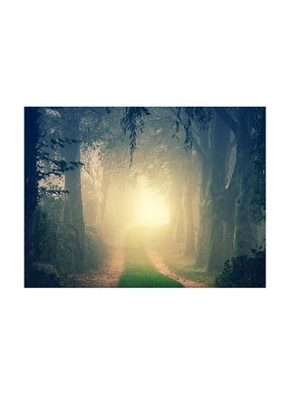 Forest Vinyl Self Adhesive Wall Sticker Multicolour 120 x 90cm - v1599559054/N40284209A_1