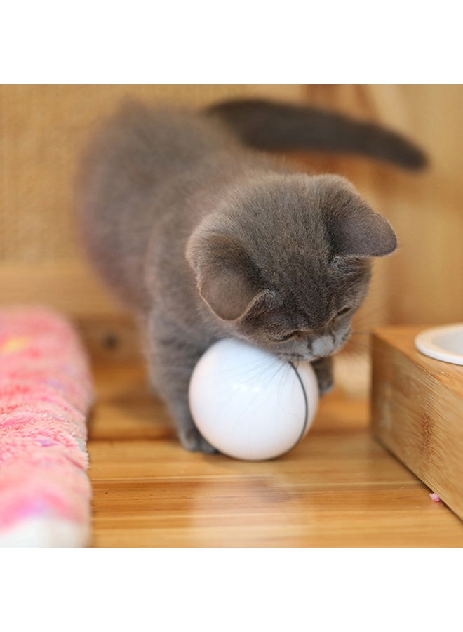 لعبة تشيسر للقطط مزودة بإضاءة LED أخضر 7x7x7سم - Image 3