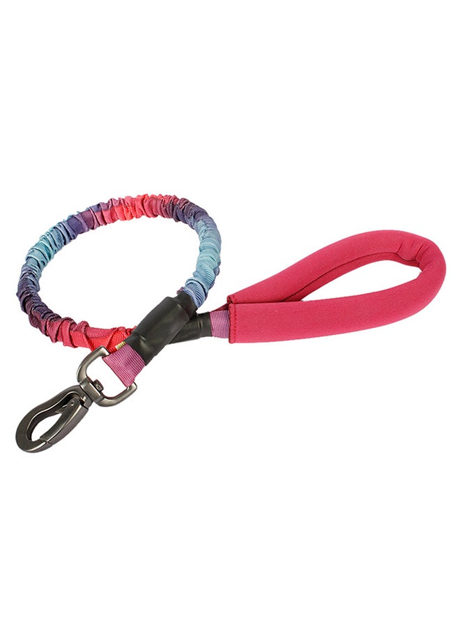 Dog Training Leash with Comfortable Padded Handle Red 30x7x5cm - Image 4