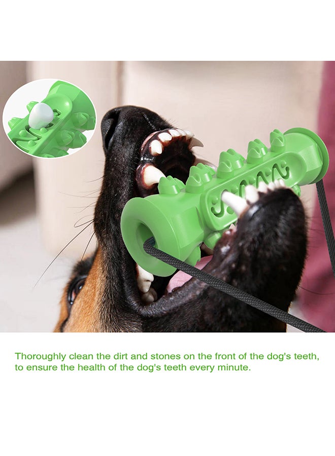 Generic Molar Bite Chew Toy Green/Black 25x18x9cm  - Image 2