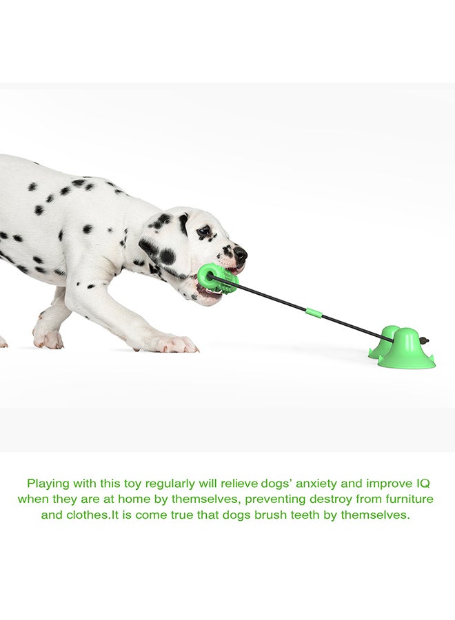 Generic Molar Bite Chew Toy Green/Black 25x18x9cm  - Image 3