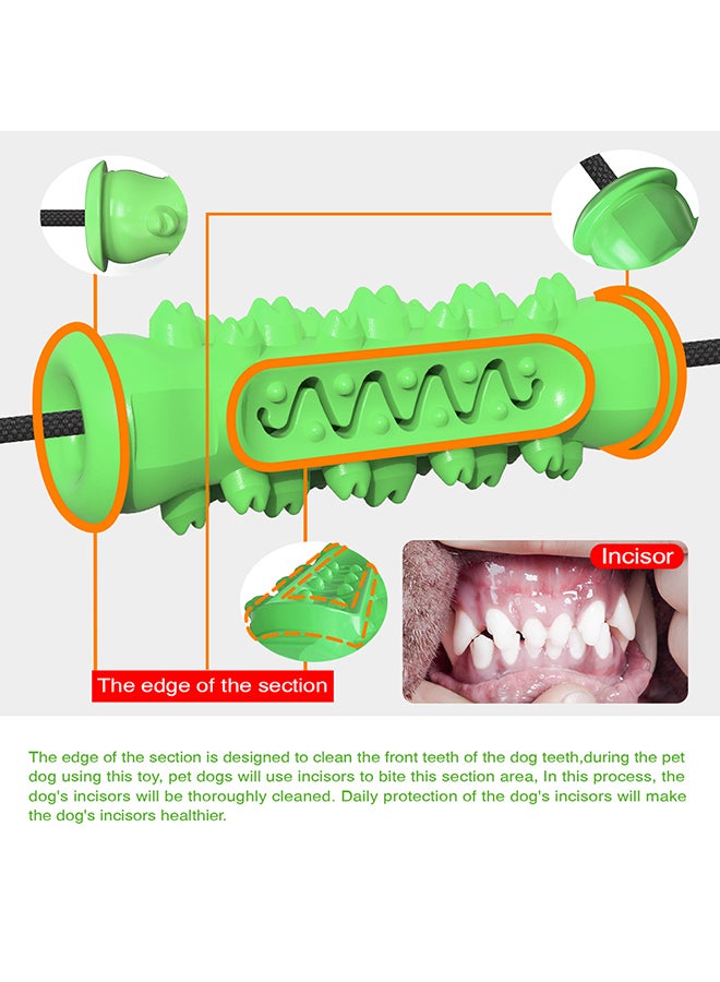 Generic Molar Bite Chew Toy Green/Black 25x18x9cm  - Image 4