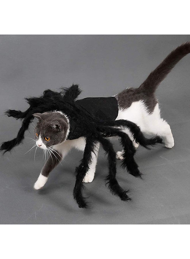 زي تنكري للحيوانات الأليفة بتصميم عنكبوت أسود Small - Image 2