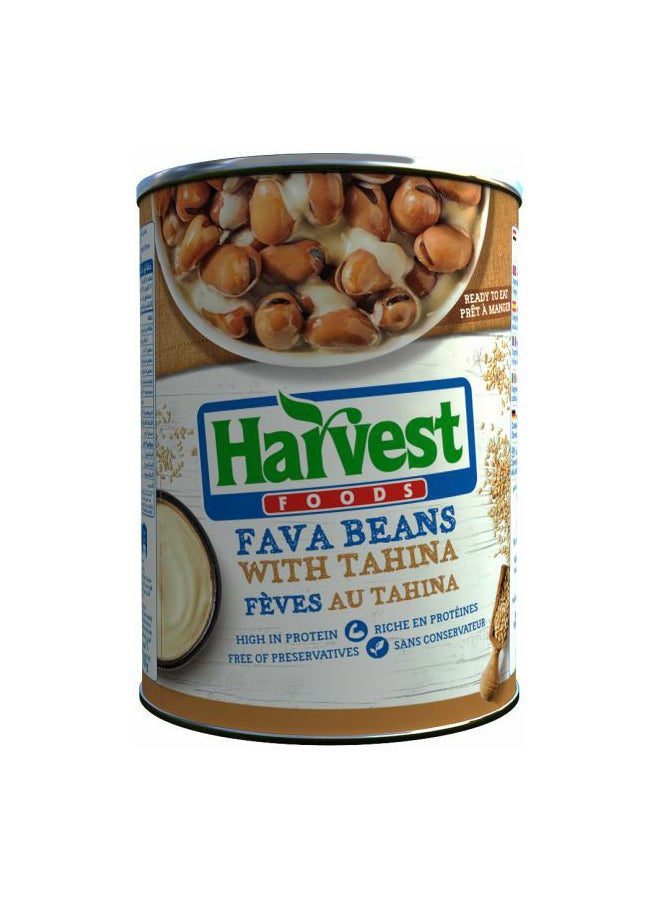 HARVEST - Fava Beans With Tahini 400grams - Image 1