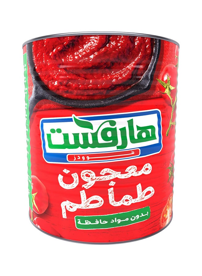 HARVEST Tomato Paste 2800grams  - Image 2