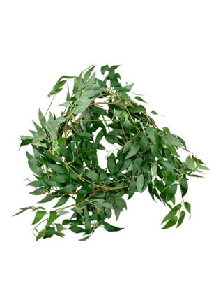 أوراق اللبلاب الصناعية للتعليق أخضر 160Ø³Ù†ØªÙŠÙ…ØªØ± - v1599838427/N20016931A_1