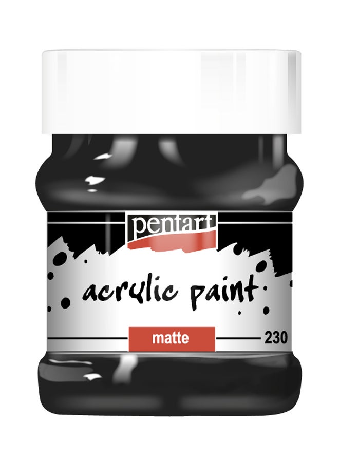 بينتارت طلاء أكريليك غير لامع أسود