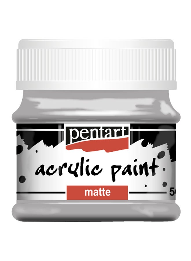 بينتارت طلاء أكريليك غير لامع رمادي