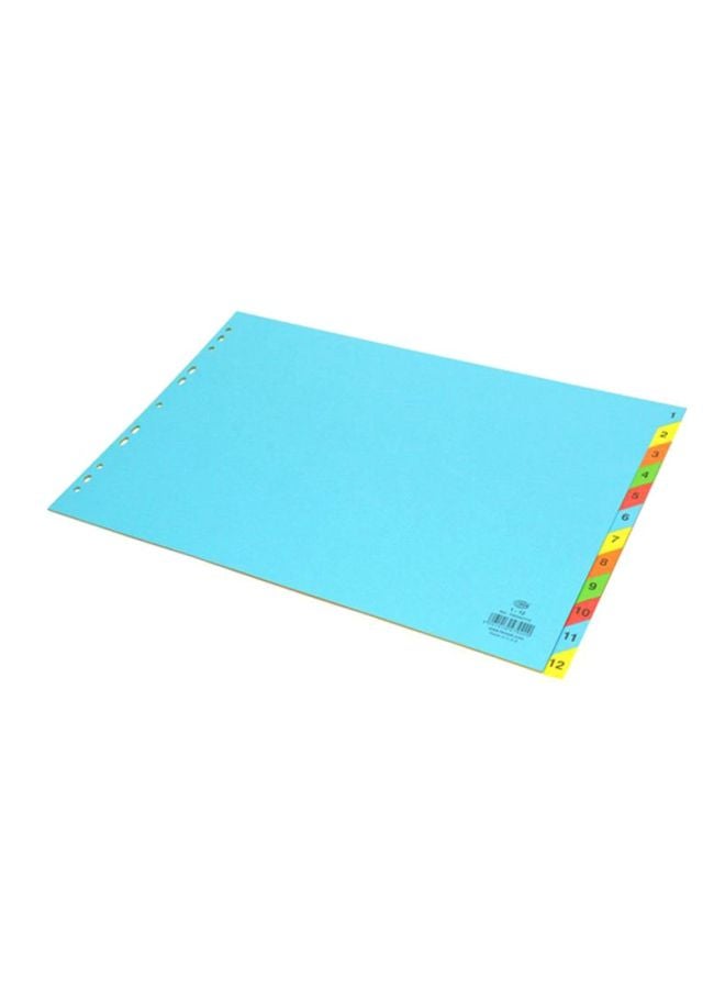Color Card Divider Blue/Green/Red