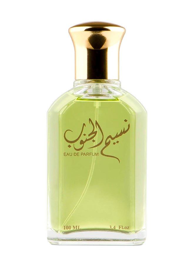 Naseem Aljanob EDP 100ml - v1600092487/N40495156A_1