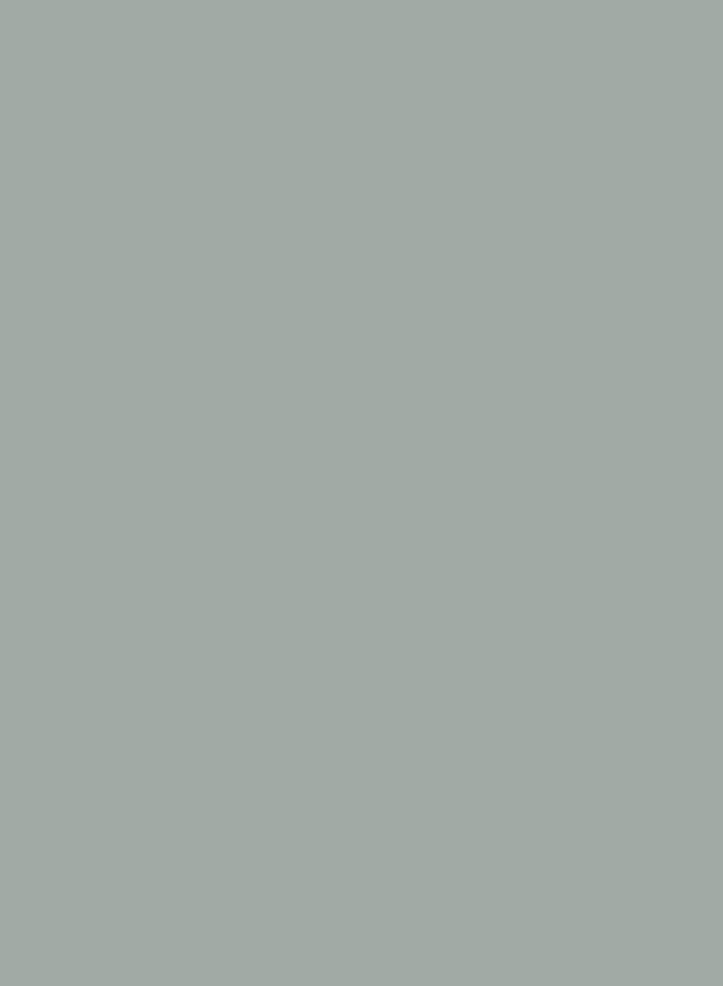 RUST-OLEUM - Professional High Performance Enamel Spray Paint Light Gray - Image 1