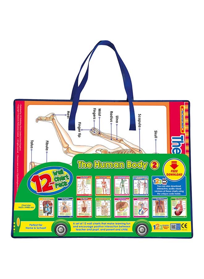 The Human Body 2 paperback english - - - Image 1