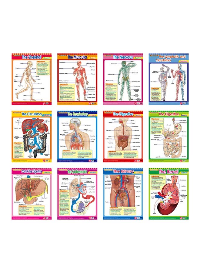 The Human Body 2 paperback english - - - Image 2