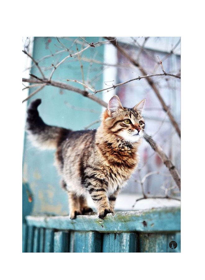 BP Printed Wall Sticker Multicolour 20cm