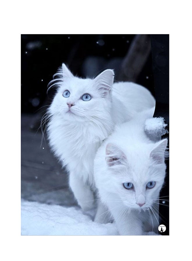 BP Printed Wall Sticker Multicolour 20cm