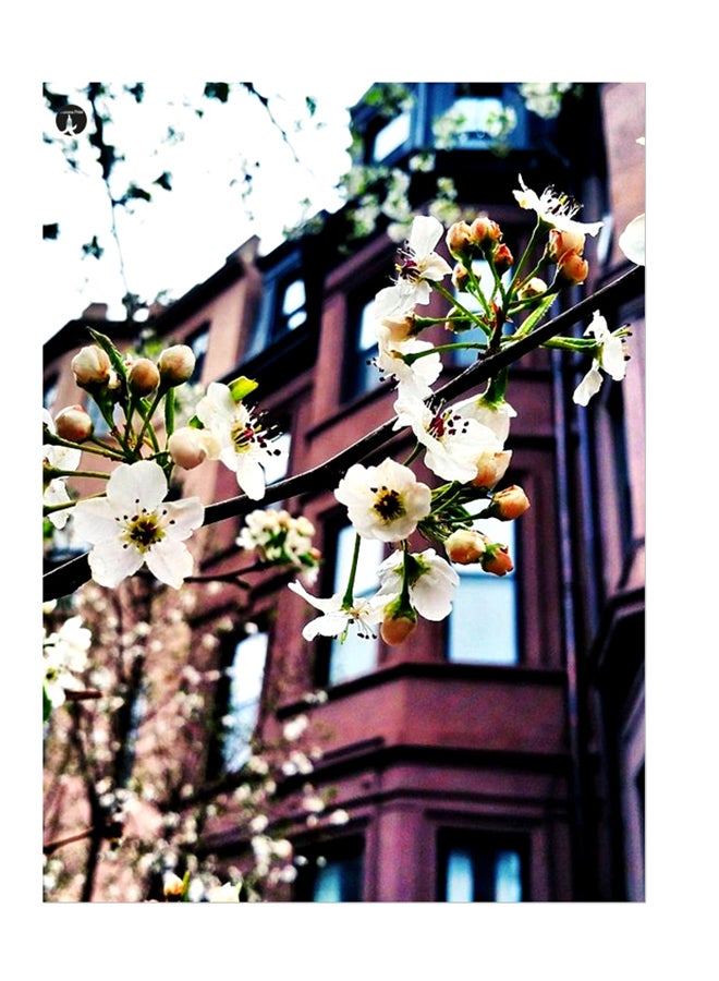 بي بي ملصق جداري مطبوع متعدد الألوان 20سم