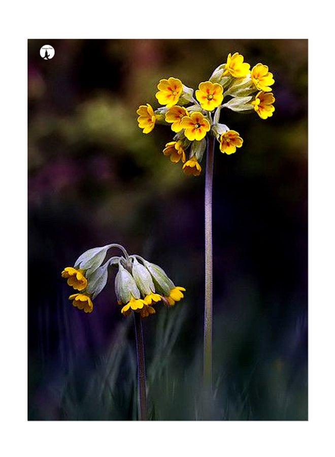 BP Printed Wall Sticker Multicolour 20cm