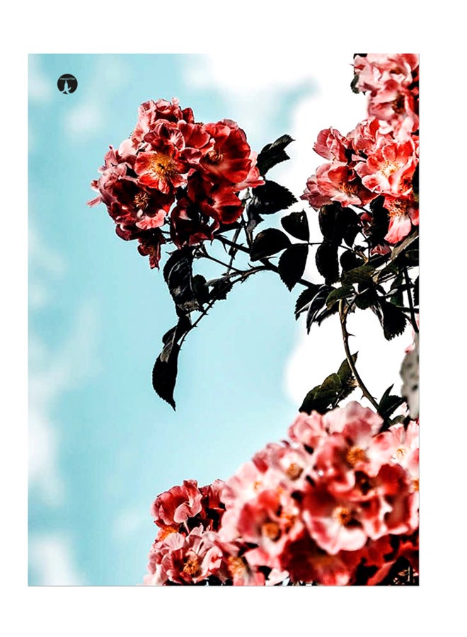 BP Printed Wall Sticker Multicolour 20cm