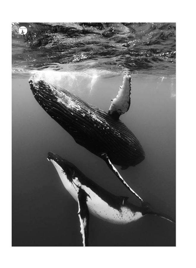 بي بي ملصق جداري مطبوع متعدد الألوان 20سم