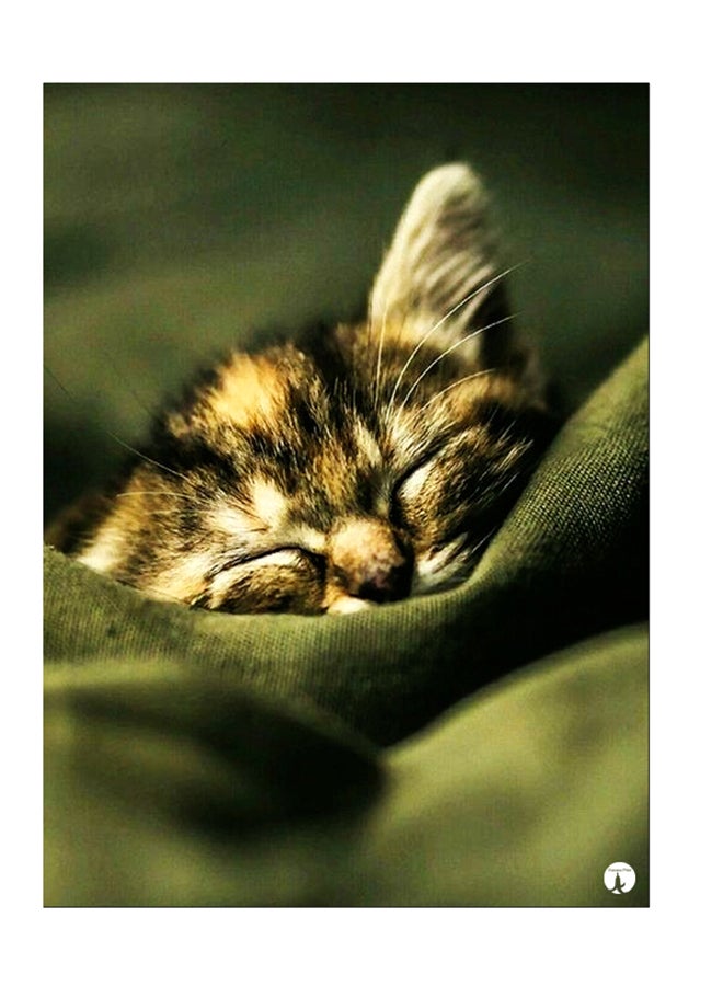 Printed Wall Sticker Multicolour 20cm