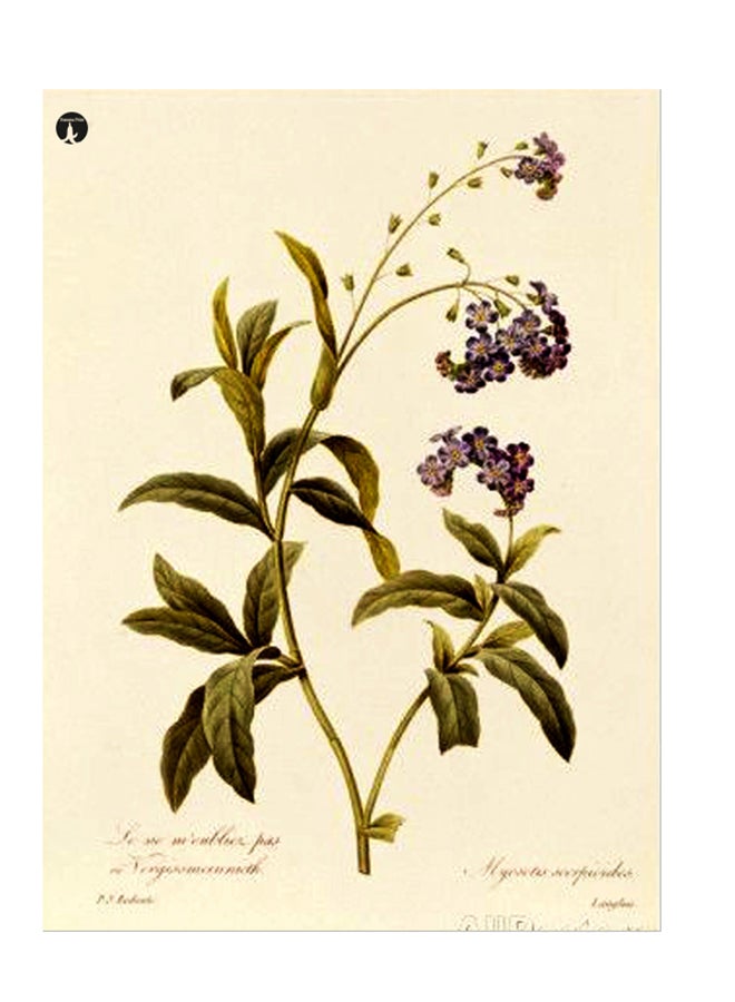 BP Printed Wall Sticker Multicolour 20cm