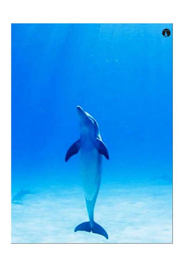 ملصق جداري مطبوع متعدد الألوان 20سم