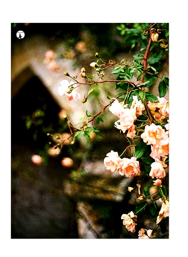 بي بي ملصق جداري مطبوع متعدد الألوان 20سم