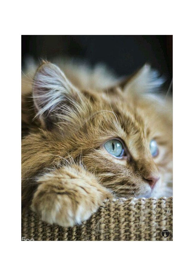 BP Printed Wall Sticker Multicolour 20cm