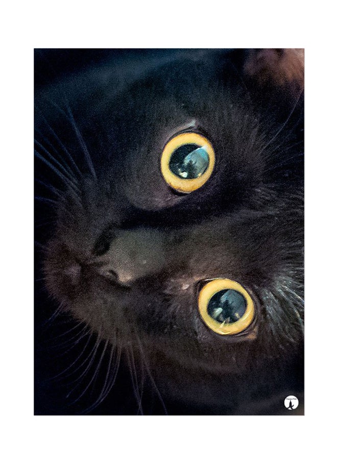 Printed Wall Sticker Multicolour