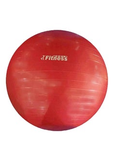 فيتنس ورلد Swiss Yoga Exercise Ball 65cm  - Image 2