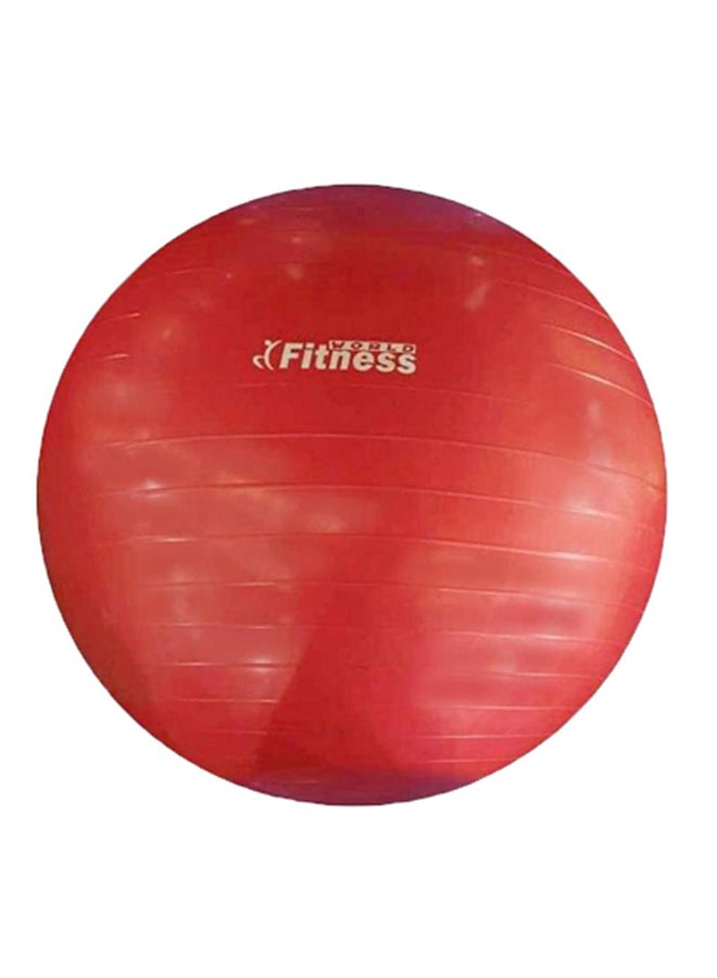 فيتنس ورلد Swiss Yoga Exercise Ball 65cm  - Image 2