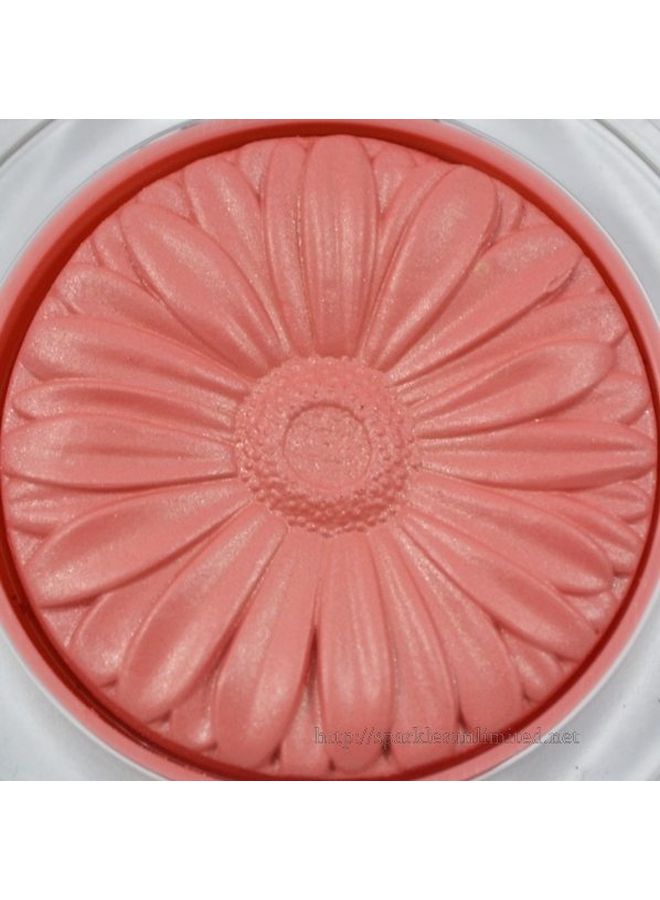 CLINIQUE Cheek Blusher 01 Ginger Pop  - Image 3