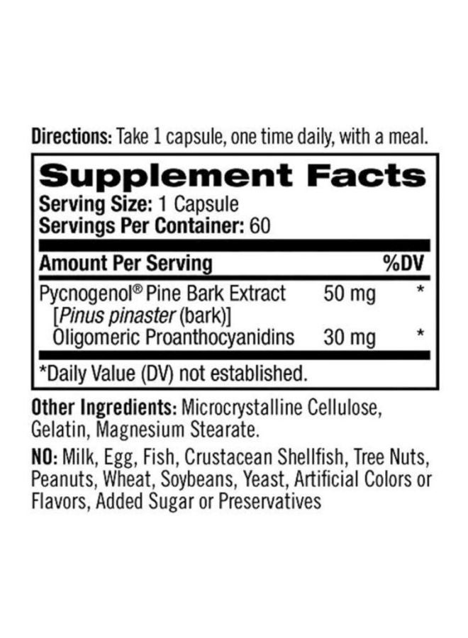 Natrol Pycnogenol Antioxidant Protection 50mg - 60 Capsules