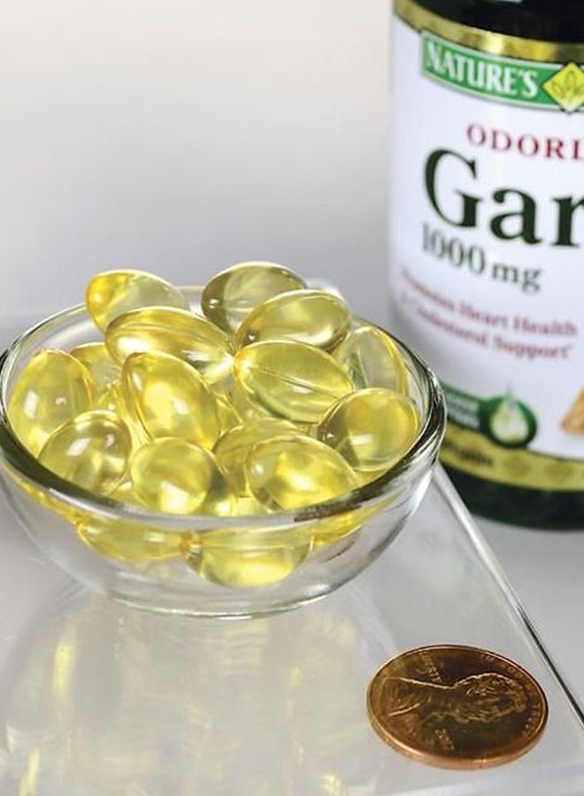 NATURE'S BOUNTY - Garlic Oil Supports Circulatory Function 1000mg - 100 Softgels - Image 1