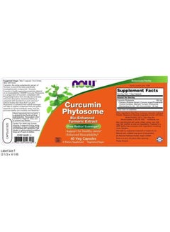 Curcumin Phytosome Dietary Supplement - 60 Capsules - v1600876469/N32400561A_4