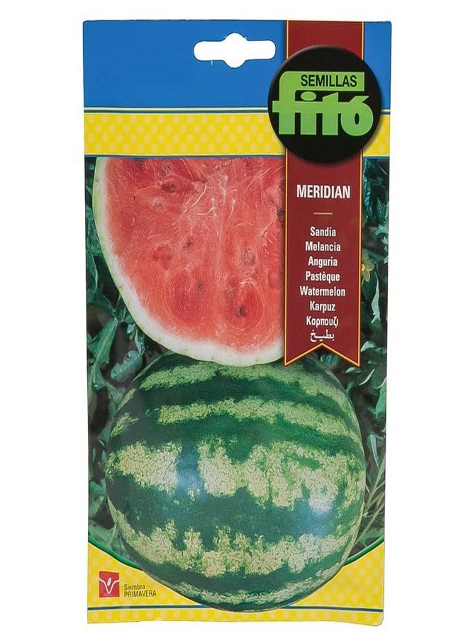 Fito Sandia Meridian Watermelon Seeds Multicolour 100grams