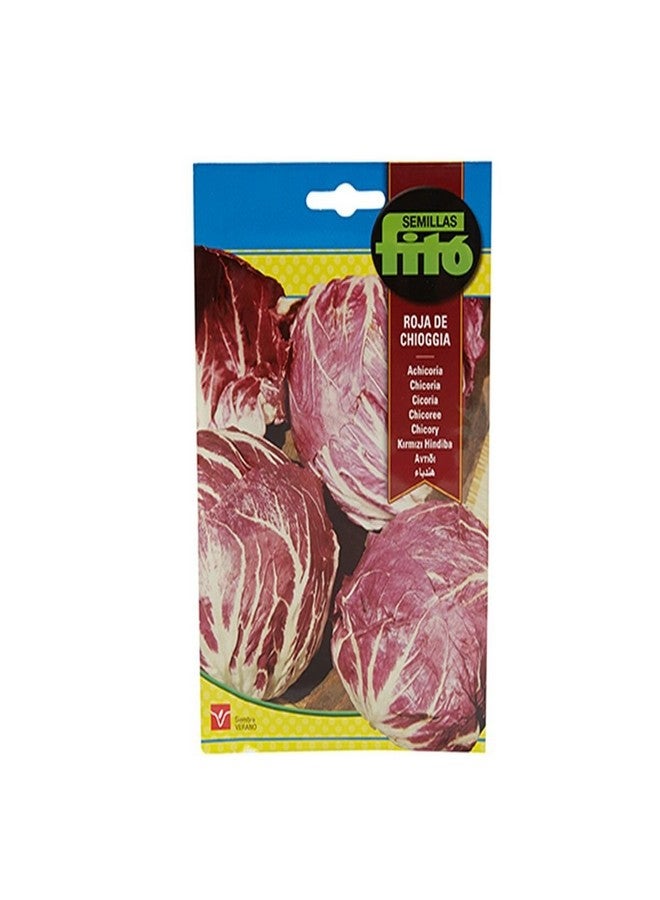 Fito Achicoria Roja de Chioggia Multicolour 100grams