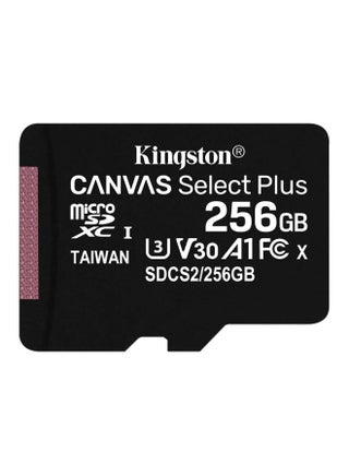 Canvas Select Plus MicroSD UHS-1 Memory Card 256 GB - v1601022920/N40711421A_1