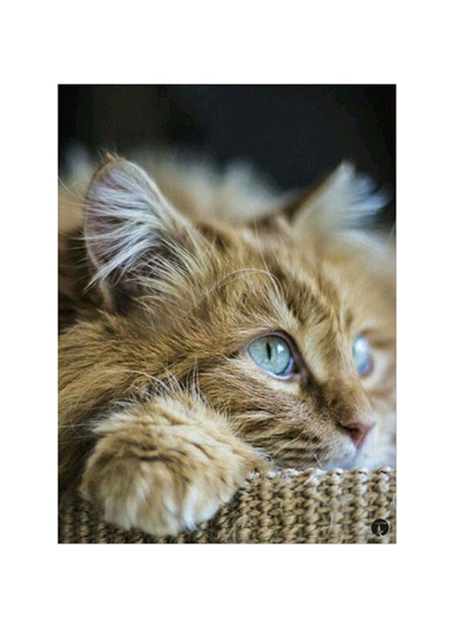 بي بي ملصق جداري مطبوع متعدد الألوان 20سم