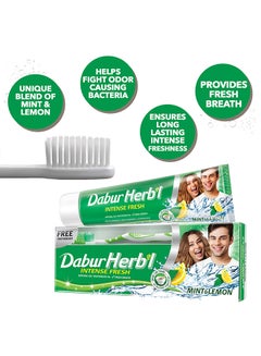 Dabur Herbal Fresh Gel Toothbrush Pack of 2 150grams  - Image 2