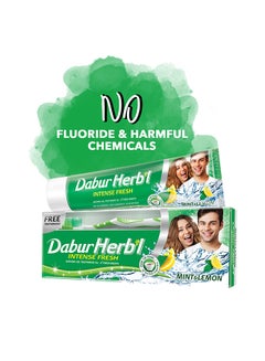 Dabur Herbal Fresh Gel Toothbrush Pack of 2 150grams  - Image 3