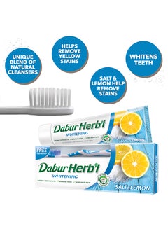 Dabur Herbal Whitening Toothpaste Plus Toothbrush Free Pack of 2 150grams  - Image 2