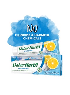 Dabur Herbal Whitening Toothpaste Plus Toothbrush Free Pack of 2 150grams  - Image 3