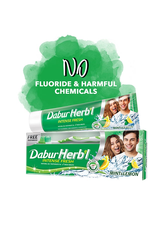 Dabur Herbal Green Gel, 150g + Toothbrush Free Pack of 3 150grams  - Image 3