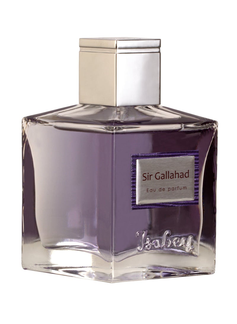 إيزابي عطر سير جلاهاد 100ملليلتر  - Image 1