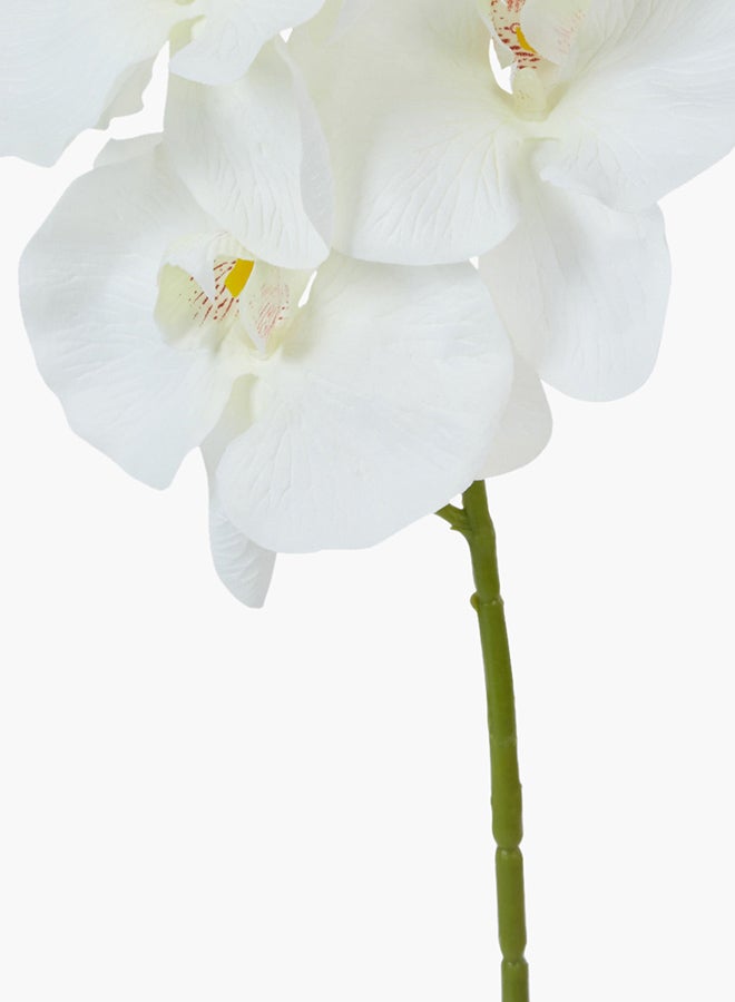 Home Box Orchid Decorative Flower Stick White/Green 100cm  - Image 3