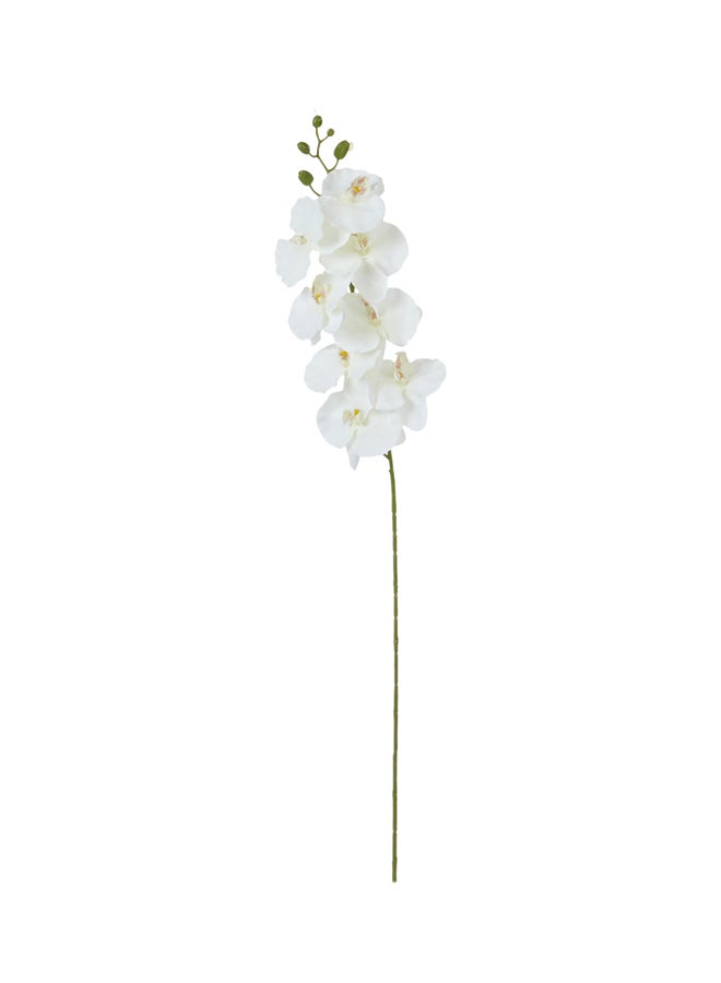 Home Box Orchid Decorative Flower Stick White/Green 100cm  - Image 1