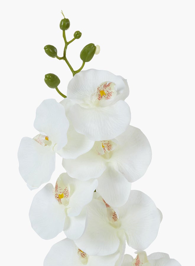 Home Box Orchid Decorative Flower Stick White/Green 100cm  - Image 2